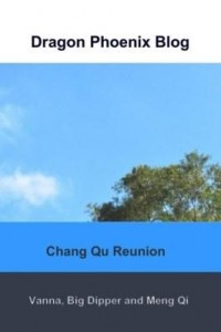 Baixar Dragon Phoenix Blog pdf, epub, eBook