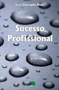 Baixar Sucesso profissional : as seis habilidades pdf, epub, eBook