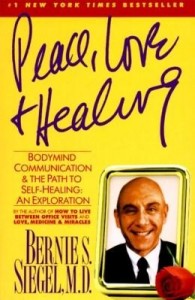 Baixar Peace, Love and Healing pdf, epub, eBook