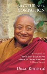 Baixar Au coeur de la compassion pdf, epub, eBook