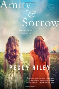 Baixar Amity & sorrow pdf, epub, eBook