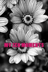 Baixar My zen moments pdf, epub, eBook