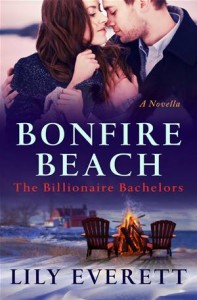 Baixar Bonfire beach pdf, epub, eBook