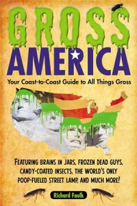 Baixar Gross america pdf, epub, eBook