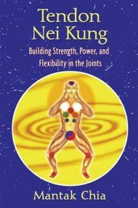 Baixar Tendon nei kung: building strength, power, and pdf, epub, eBook