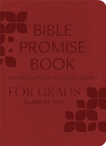Baixar Bible promise book, the pdf, epub, eBook