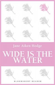 Baixar Wide is the water pdf, epub, eBook