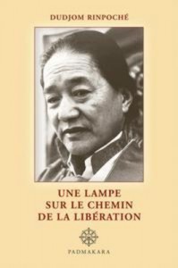 Baixar Lampe sur le chemin de la liberation, une pdf, epub, eBook