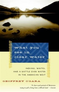 Baixar What you see in clear water pdf, epub, eBook