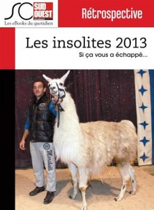 Baixar Insolites de l’annee 2013, les pdf, epub, eBook