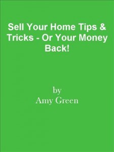 Baixar Sell your home tips & tricks – or your money pdf, epub, eBook