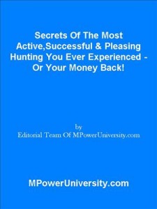 Baixar Secrets of the most active,successful & pleasing pdf, epub, eBook