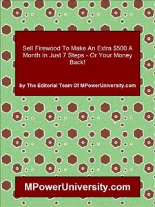 Baixar Sell firewood to make an extra $500 a month in pdf, epub, eBook