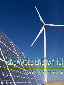 Baixar Renewable energy 101 pdf, epub, eBook