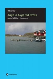 Baixar Auge in auge mit orcas pdf, epub, eBook