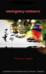 Baixar Emergency entrance pdf, epub, eBook