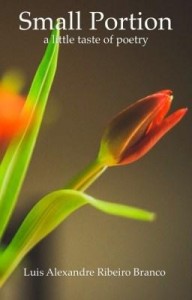 Baixar Small Portion pdf, epub, eBook