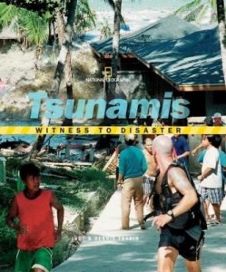 Baixar Witness to Disaster: Tsunamis pdf, epub, eBook