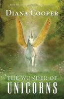Baixar The Wonder of Unicorns pdf, epub, eBook