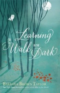 Baixar Learning to Walk in the Dark pdf, epub, eBook
