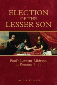 Baixar Election of the lesser son pdf, epub, eBook