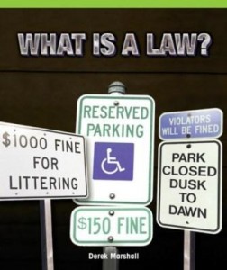 Baixar What Is a Law? pdf, epub, eBook