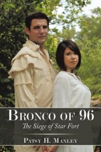 Baixar Bronco of 96: The Siege of Star Fort pdf, epub, eBook