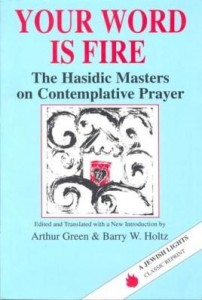 Baixar Your Word Is Fire: The Hasidic Masters on Contemplative Prayer pdf, epub, eBook