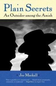 Baixar Plain Secrets: An Outsider among the Amish pdf, epub, eBook