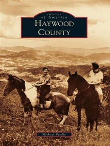 Baixar Haywood county pdf, epub, eBook