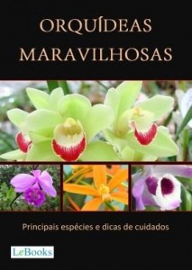 Baixar Orquídeas maravilhosas pdf, epub, eBook
