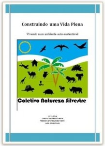 Baixar Construindo uma Vida Plena pdf, epub, eBook