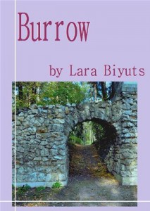 Baixar Burrow pdf, epub, eBook