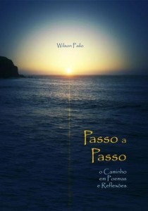 Baixar Passo a Passo: o Caminho em poemas e reflexões pdf, epub, eBook