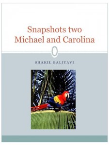 Baixar Snapshots two pdf, epub, eBook