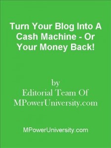 Baixar Turn your blog into a cash machine – or your pdf, epub, eBook