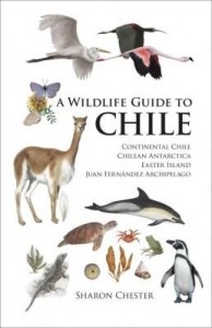 Baixar A Wildlife Guide to Chile: Continental Chile, Chilean Antarctica, Easter Island, Juan Fernandez Arch pdf, epub, eBook