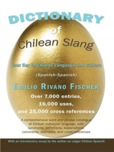 Baixar Dictionary of Chilean Slang: Your Key to Chilean Language and Culture pdf, epub, eBook