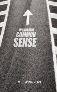Baixar Wonderful Common Sense pdf, epub, eBook