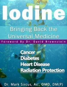 Baixar Iodine pdf, epub, eBook
