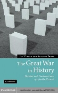 Baixar The Great War in History: Debates and Controversies, 1914 to the Present pdf, epub, eBook