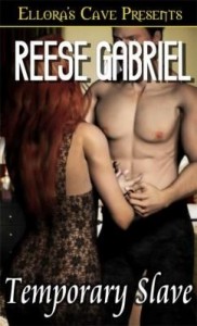 Baixar Temporary Slave pdf, epub, eBook
