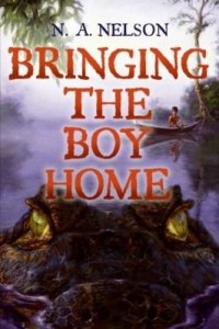 Baixar Bringing the Boy Home pdf, epub, eBook