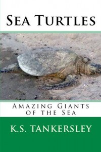Baixar Sea turtles: amazing giants of the sea pdf, epub, eBook