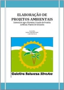 Baixar Elaboração de Projetos Ambientais – Sistema de Agro Florestas, Criação de Prainha, Plantio Girassol pdf, epub, eBook