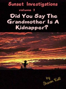 Baixar Did you say grandmother is a kidnapper? pdf, epub, eBook