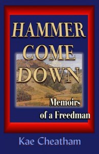 Baixar Hammer come down pdf, epub, eBook