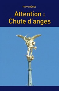 Baixar Attention : chute d’anges pdf, epub, eBook