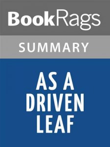 Baixar A driven leaf by milton steinberg | summary & pdf, epub, eBook
