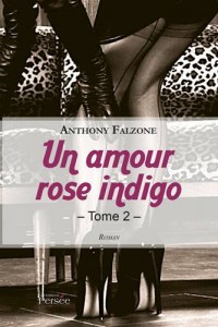 Baixar Amour rose indigo tome 2, un pdf, epub, eBook